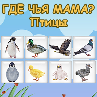 Где чья мама? Птицы