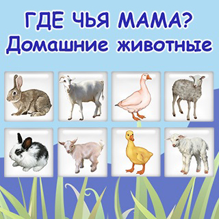 Где чья мама? Домашние животные