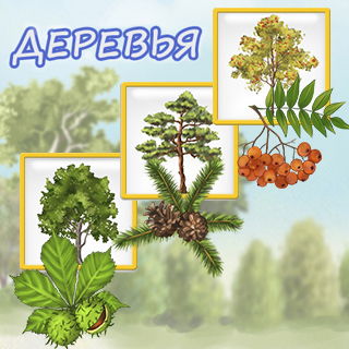 Деревья